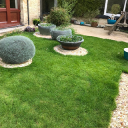 Techniques de taille pour maintenir un jardin esthétique et en bonne santé Vallauris